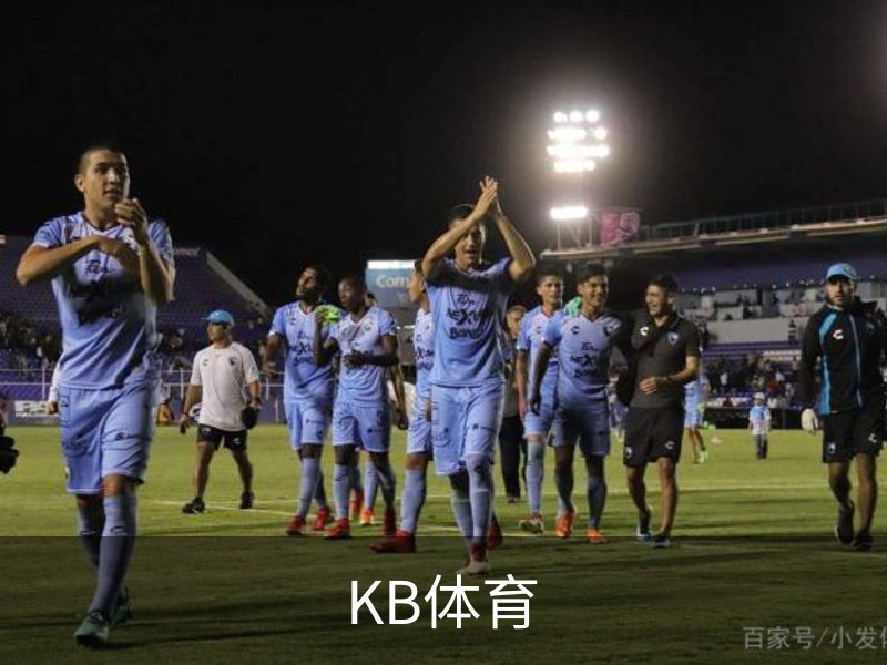 KB体育介绍